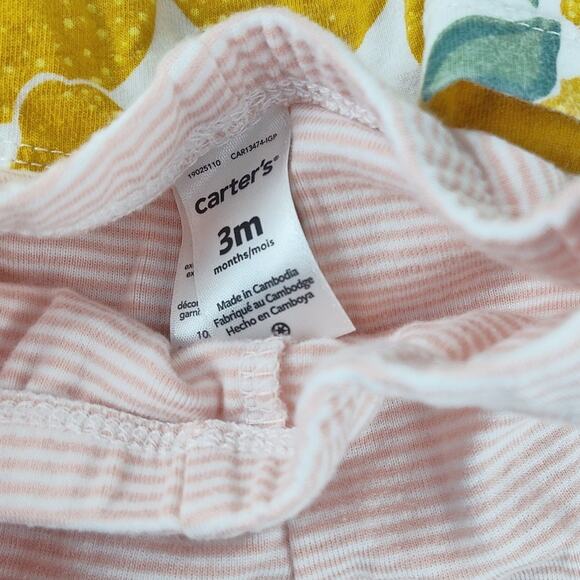 Carter’s Girls 3M Clothing Bundle 10 Pieces Adorable Mix - Picture 11 of 13